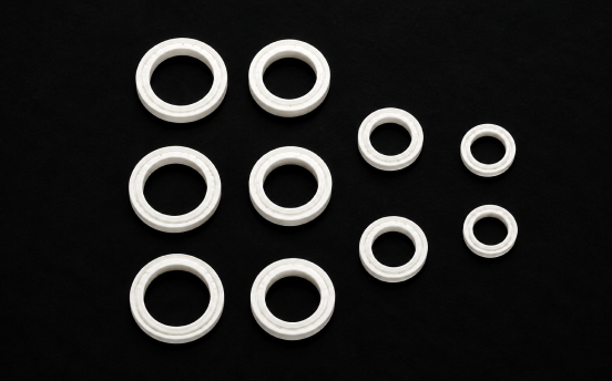 Mechanical Seal Ring